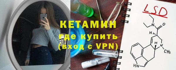гашик Алексин