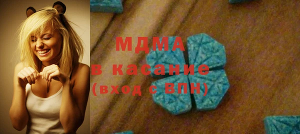 гашик Алексин