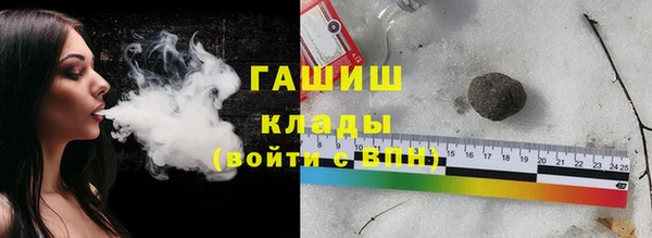 гашик Алексин