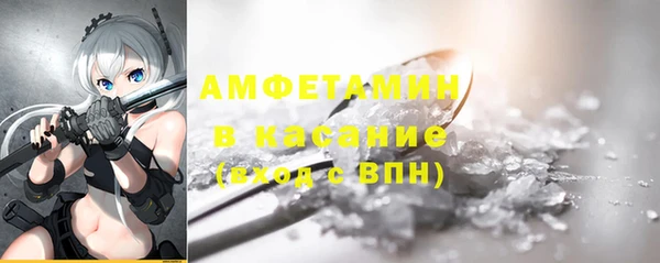 гашик Алексин