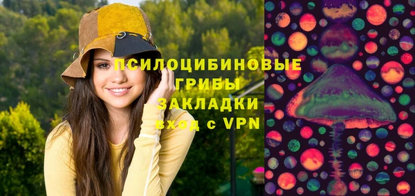 спиды Алексеевка