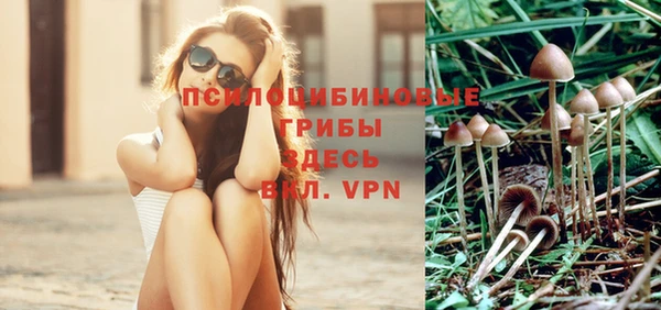 спиды Алексеевка