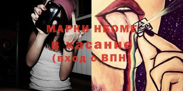 гашик Алексин