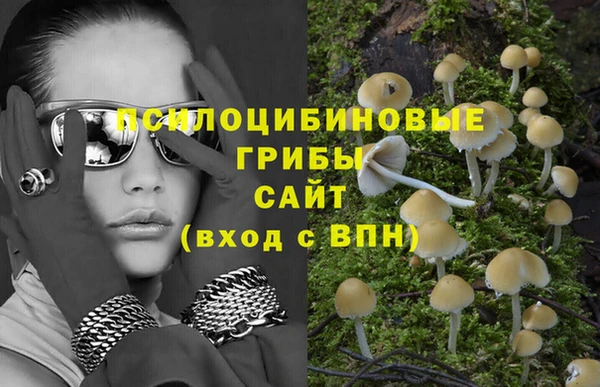 спиды Алексеевка
